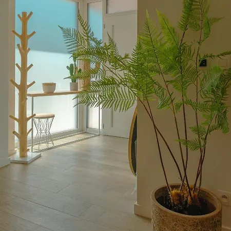 Modern 1 Slaapkamer-appartement Op 20 M * Knokke-Heist